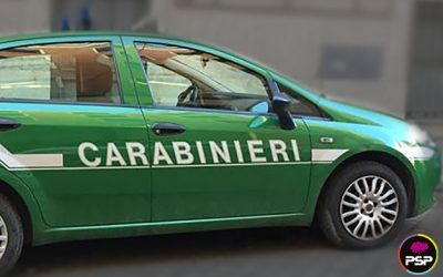 Da oggi disponibili i nuovi kit conversione Carabinieri ex CFS